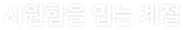 시원함을 입는 계절